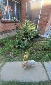 Дом 55м², 1-этажный, на длительный срок, 