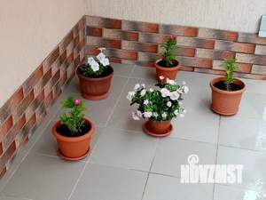 Дом 30м&sup2;, 1-этажный, посуточно, 