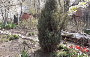 Дом 81м&sup2;, 1-этажный, участок 8 сот.  