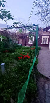 Дом 55м², 1-этажный, участок 3 сот.  