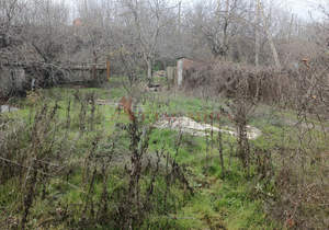 Дом 101м&sup2;, 1-этажный, участок 9 сот.  