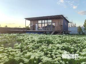 Дом 60м&sup2;, 1-этажный, участок 6 сот.  