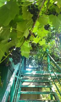 Дача 45м², 2-этажный, участок 6 сот.  