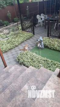 Дом 127м², 2-этажный, участок 3 сот.  