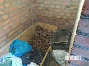 Дом 71м², 1-этажный, участок 3 сот.  