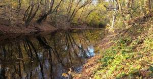 Дом 79м&sup2;, 4-этажный, участок 24 сот.  