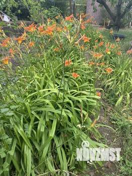 Дом 90м², 2-этажный, участок 6 сот.  