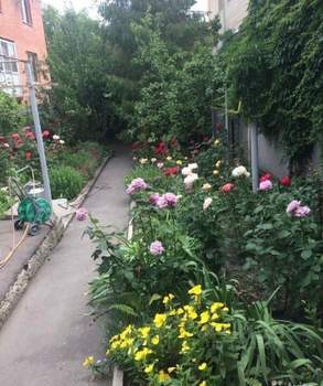 Дом 60м², 1-этажный, участок 4 сот.  
