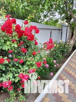 Дом 85м&sup2;, 2-этажный, участок 4 сот.  