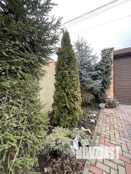 Дом 95м&sup2;, 1-этажный, участок 3 сот.  