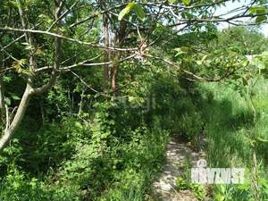 Дом 20м&sup2;, 1-этажный, участок 8 сот.  