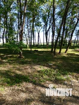 Дом 100м&sup2;, 1-этажный, участок 7 сот.  