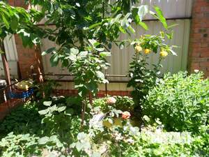 Дом 139м&sup2;, 1-этажный, участок 3 сот.  