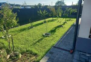 Дом 150м², 1-этажный, участок 7 сот.  