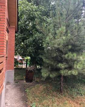 Дом 70м², 1-этажный, участок 4 сот.  