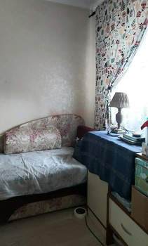 Дом 53м&sup2;, 1-этажный, участок 3 сот.  