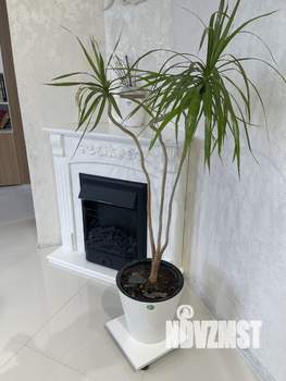 Дом 80м&sup2;, 1-этажный, участок 3 сот.  