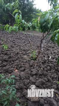 Дом 54м², 2-этажный, участок 10 сот.  