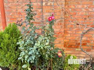 Дом 131м², 2-этажный, участок 3 сот.  