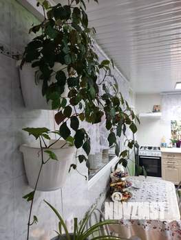 Дом 80м², 1-этажный, участок 4 сот.  