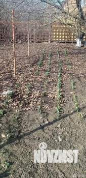 Дом 97м&sup2;, 1-этажный, участок 5 сот.  