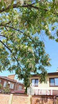 Дом 110м&sup2;, 2-этажный, участок 2 сот.  