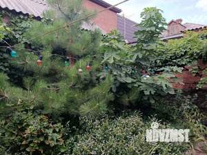 Дом 77м², 1-этажный, участок 3 сот.  