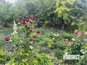 Дом 58м², 1-этажный, участок 5 сот.  