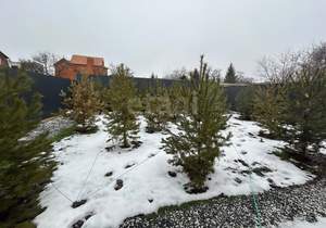 Дом 250м&sup2;, 3-этажный, участок 8 сот.  