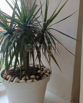 Дом 136м&sup2;, 2-этажный, участок 6 сот.  