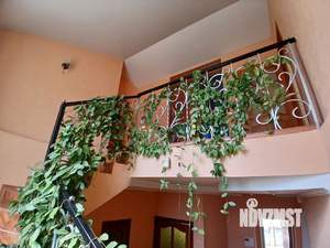 Дом 246м&sup2;, 3-этажный, участок 6 сот.  