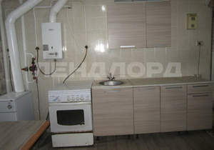 Дом 53м&sup2;, 1-этажный, участок 2 сот.  