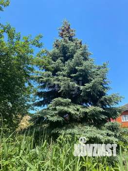 Дом 30м&sup2;, 1-этажный, участок 7 сот.  