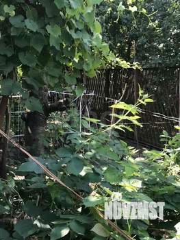 Дом 45м², 1-этажный, участок 3 сот.  