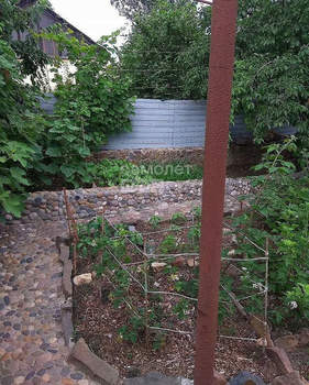 Дом 112м&sup2;, 3-этажный, участок 3 сот.  