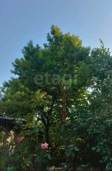 Дом 80м&sup2;, 1-этажный, участок 5 сот.  