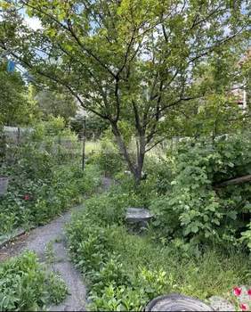 Дом 45м&sup2;, 1-этажный, участок 4 сот.  