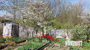 Дом 64м&sup2;, 2-этажный, участок 2 сот.  