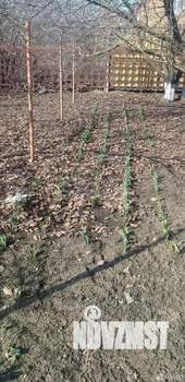 Дом 97м&sup2;, 1-этажный, участок 5 сот.  