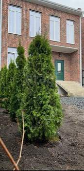 Дом 161м&sup2;, 2-этажный, участок 3 сот.  