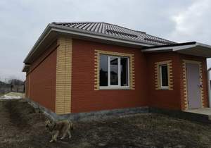 Дом 92м&sup2;, 1-этажный, участок 3 сот.  