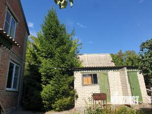 Дом 67м&sup2;, 2-этажный, участок 4 сот.  