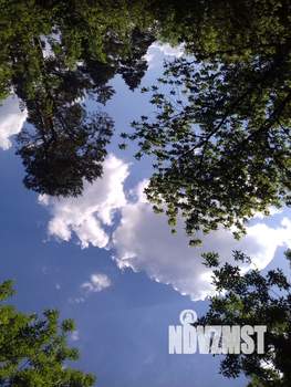 Дом 100м&sup2;, 1-этажный, участок 7 сот.  