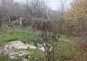 Дом 101м&sup2;, 1-этажный, участок 9 сот.  