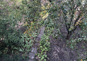 Дача 64м², 2-этажный, участок 5 сот.  