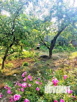 Дом 100м², 1-этажный, участок 6 сот.  