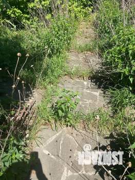 Дом 30м&sup2;, 1-этажный, участок 7 сот.  