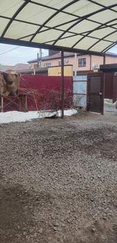 Дом 82м&sup2;, 1-этажный, участок 3 сот.  