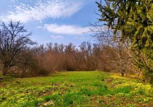 Дом 79м&sup2;, 1-этажный, участок 24 сот.  