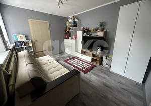 Дом 46м&sup2;, 1-этажный, участок 2 сот.  